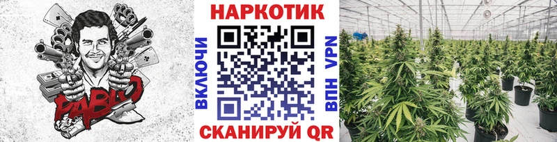 Купить наркотики цена Гусев Alpha-PVP  Псилоцибиновые грибы  Мефедрон  hydra как войти  Каннабис  ГАШИШ 