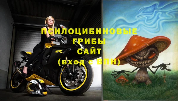 прущая мука Белокуриха
