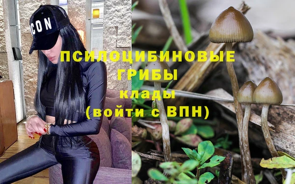 прущая мука Белоозёрский