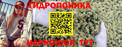 мяу мяу мука Лесосибирск