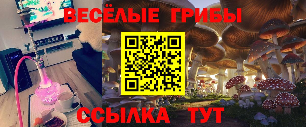 Псилоцибиновые грибы Cubensis Гусев