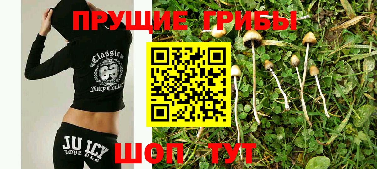 Галлюциногенные грибы Psilocybine cubensis  где найти   Вход с VPN  Гусев  Галлюциногенные грибы GOLDEN TEACHER 