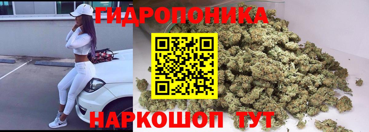 Гусев  Шишки марихуана Amnesia  Бошки Шишки Bruce Banner  Шишки марихуана план  Марихуана Amnesia  Вход с VPN 